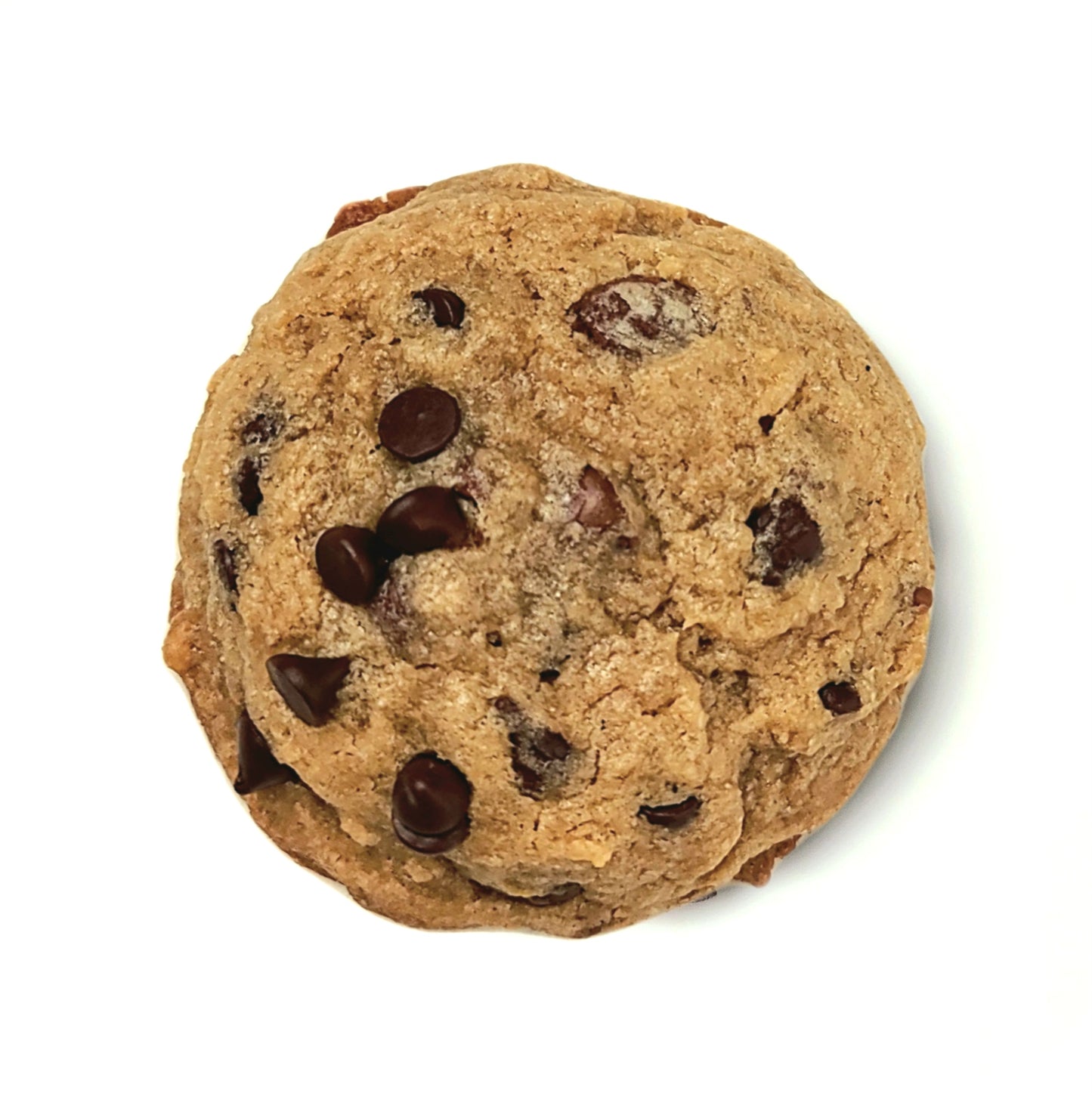 Chocolate Chip